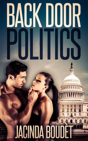Cover of the book Back Door Politics by Mia Harris