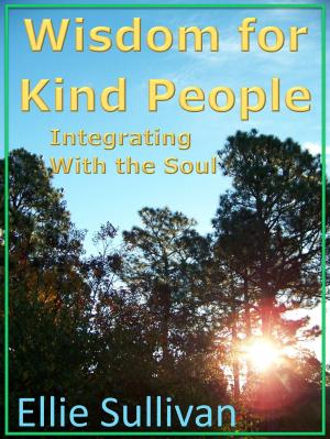 Cover of the book Wisdom for Kind People: Integrating With the Soul by 金躍軍