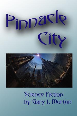 Book cover of Pinnacle City