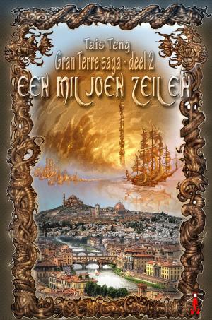 Cover of the book Een miljoen zeilen by Alycia Christine