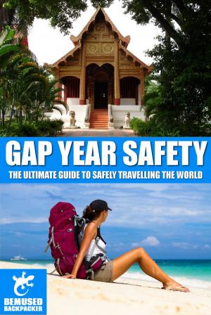 Book cover of Gap Year Safety