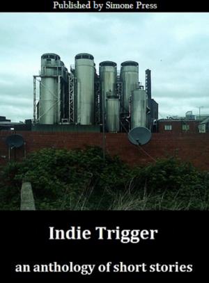bigCover of the book Indie Trigger: Short Stories by 