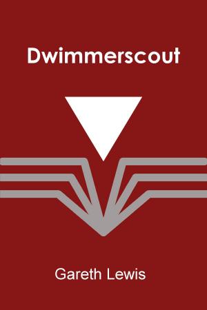 bigCover of the book Dwimmerscout by 