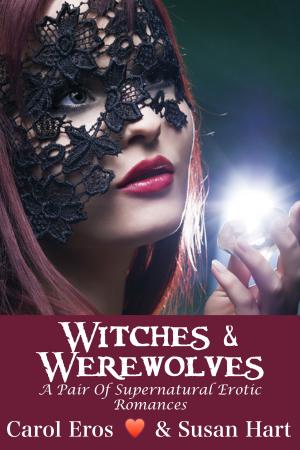 bigCover of the book Witches & Werewolves by 