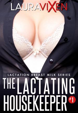 Cover of the book The Lactating Housekeeper: Lactation Breast Milk series #1 by Laurel Bennett