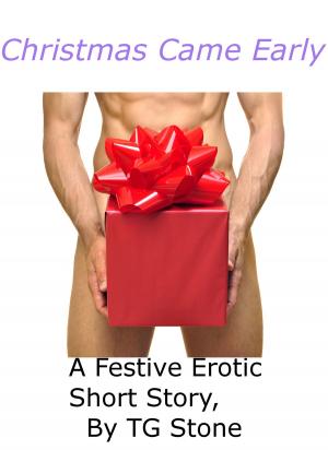 Book cover of Christmas Came Early