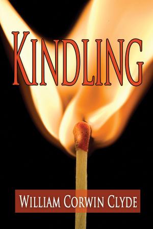 Cover of the book Kindling: Igniting a Life of Insight and Purpose by Paul C Burr