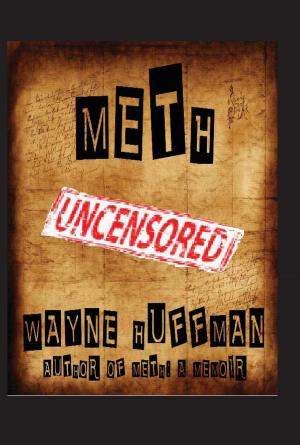Cover of the book Meth Uncensored by Larry Cothren