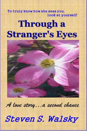 Cover of the book Through a Stranger's Eyes by B. A. Binns