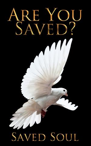 bigCover of the book Are You Saved? by 