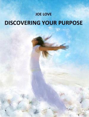 Cover of the book Discovering Your Purpose by Teodoro García González