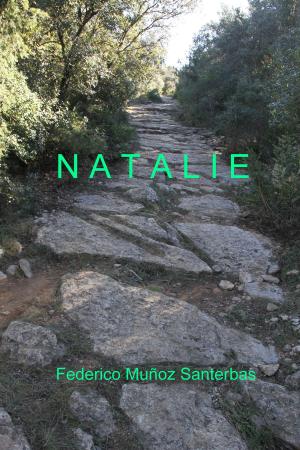 Cover of the book Natalie by CP Lee