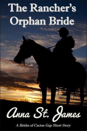 Book cover of The Rancher's Orphan Bride