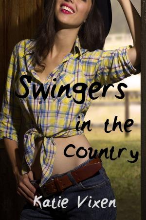 bigCover of the book Swingers in the Country: A Menage Story by 