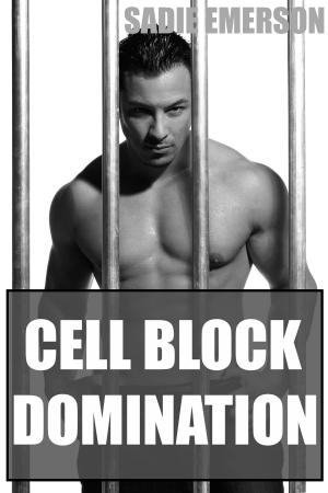 Cover of the book Cell Block Domination by Madison Langston