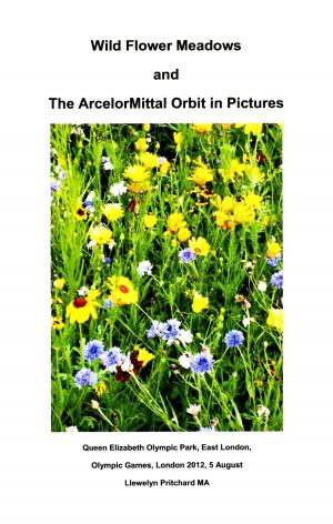 Cover of the book Wild Flower Meadows and The ArcelorMittal Orbit in Pictures [Part 1] by Llewelyn Pritchard