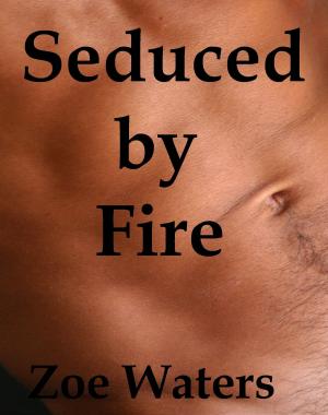 Book cover of Seduced by Fire