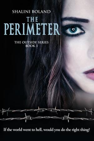 Cover of The Perimeter (Outside Series #3)