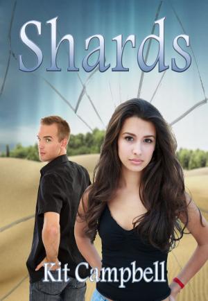 Cover of the book Shards by Tim McGregor