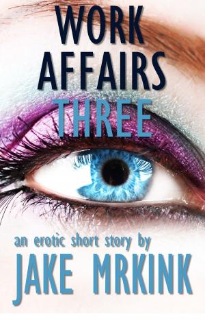 Cover of the book Work Affairs Three by Jake Mrkink