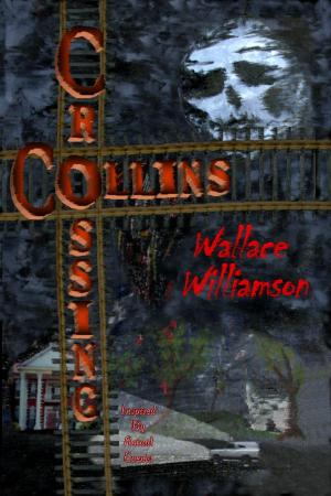 Book cover of Collins Crossing