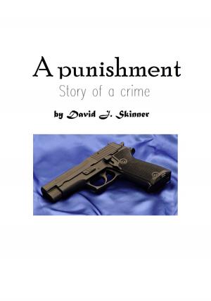 Cover of the book A Punishment: Story of a Crime by Christina Mercer