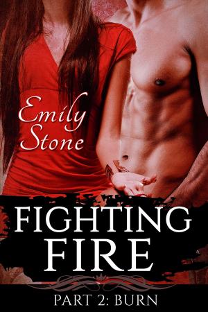 bigCover of the book Fighting Fire #2: Burn (Steamy New Adult Romance) by 