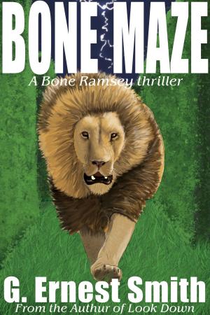 Book cover of Bone Maze