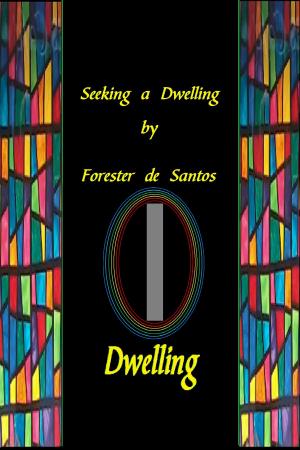 Cover of the book Seeking a Dwelling by Amy Jones