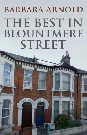 bigCover of the book The Best in Blountmere Street by 