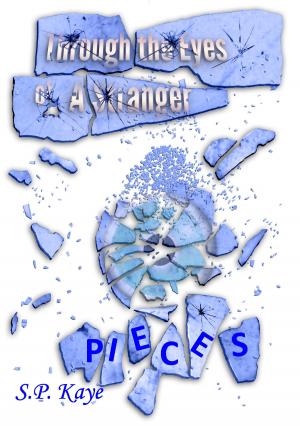 Cover of the book Through the Eyes of a Stranger: Pieces by Brenda Margriet
