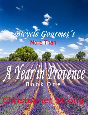 Cover of the book More Than A Year In Provence: Endless Tour de France Travel by DESCARTES