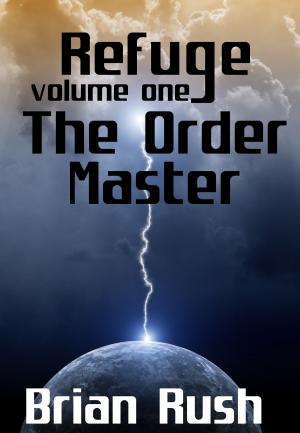 Book cover of The Order Master