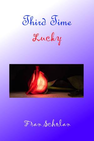 Cover of the book Third Time Lucky by Margery Watkins