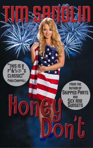Cover of the book Honey Don't by J.A. Behnke