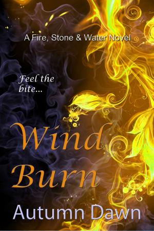 Book cover of Wind Burn