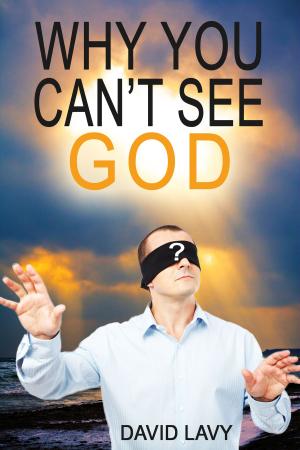 Cover of the book Why You Can't See God by Gabrielle Walker
