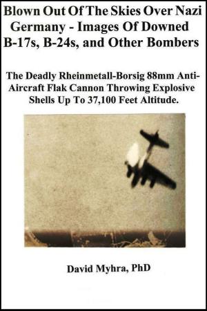 Cover of the book Blown Out of the Skies over Nazi Germany-Images of Downed B-17s, B-24's and Other Bombers by Errol Kennedy