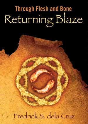 Cover of the book Returning Blaze by Gregor Xane