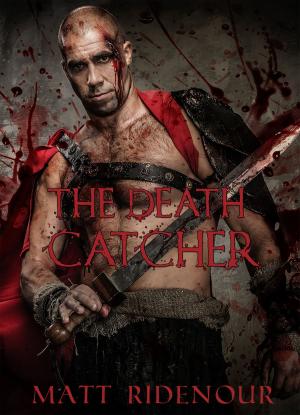 Cover of the book The Death Catcher by Tricia Skinner