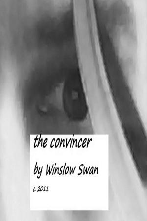 Cover of the book The Convincer by Jonas Saul