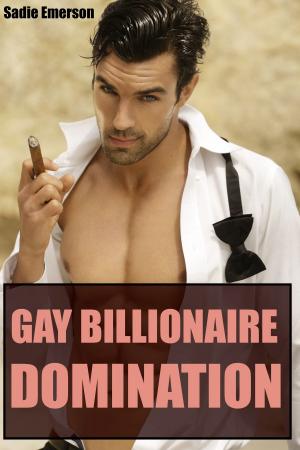 Cover of the book Gay Billionaire Domination by Kemosabe