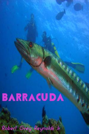 Book cover of Barracuda