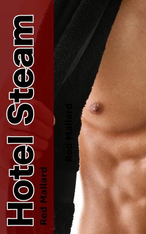 Cover of the book Hotel Steam by Wynter Daniels