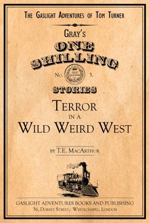 Cover of the book Terror in a Wild Weird West by Elizabeth Watasin