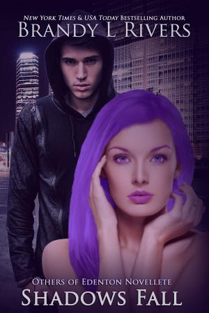 Cover of the book Shadows Fall by Brandy L Rivers