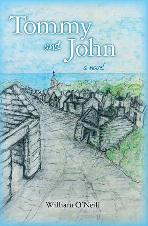 Book cover of Tommy and John