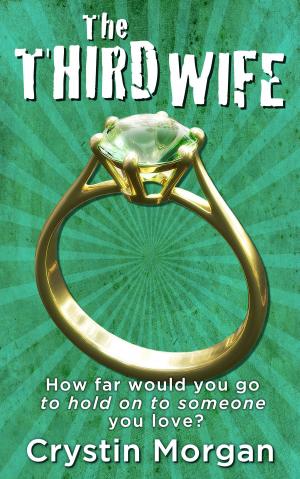 Cover of the book The Third Wife by Clare London