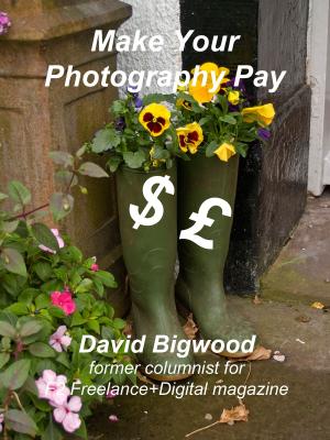 Cover of the book Make Your Photography Pay by Brent Betz