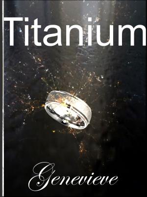 Cover of the book Titanium by T.L. Stowe